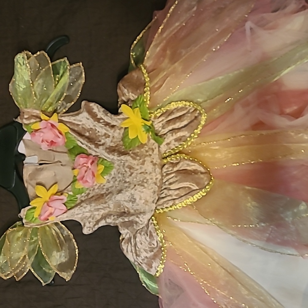Fairy costume